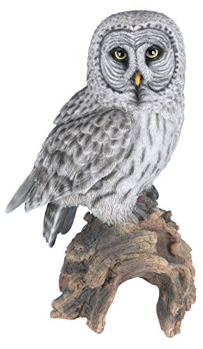 Animaux En Resine Sculpture Chouette Hulotte Multicolore 25,