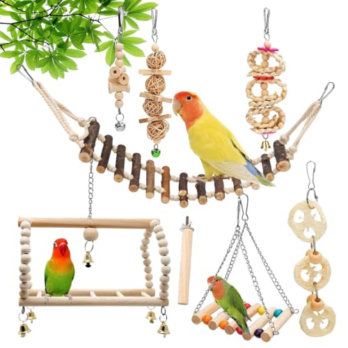 pour oiseaux pour perroquets 8 pièces Couleurs vives