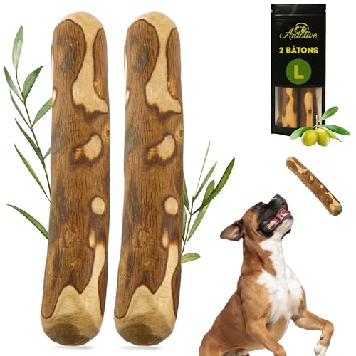 Boutique pour Chiens