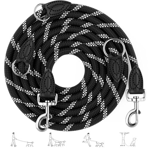 Aystkniet Laisse Multifonctionnelle 3M pour Chien, Laisse Dr