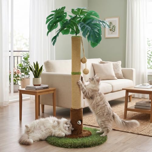 Woochpet Arbre à chat d'intérieur pour chats et chatons - Arbre à chat de 90 cm de haut avec corde en sisal, arbre à chat avec boule de suspension