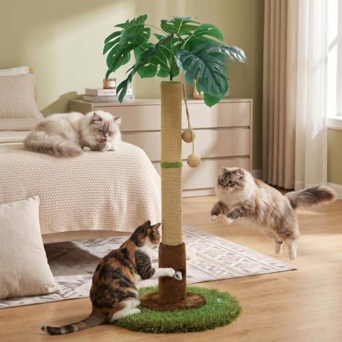 Woochpet Arbre à chat dintérieur pour chats et chatons - Arb