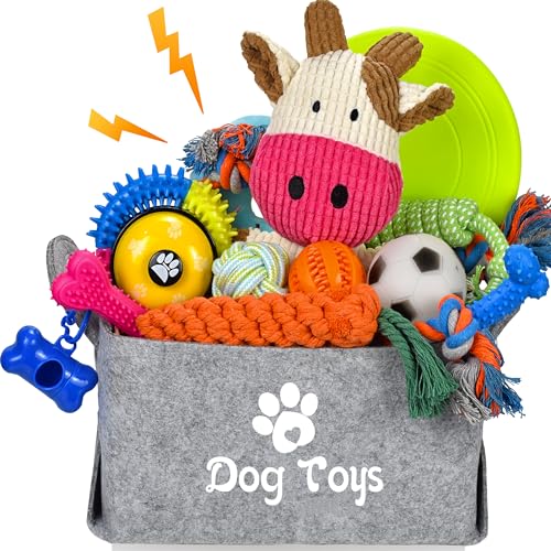 LECHONG Lot de 21 jouets de démarrage pour chiot - Jouets à 