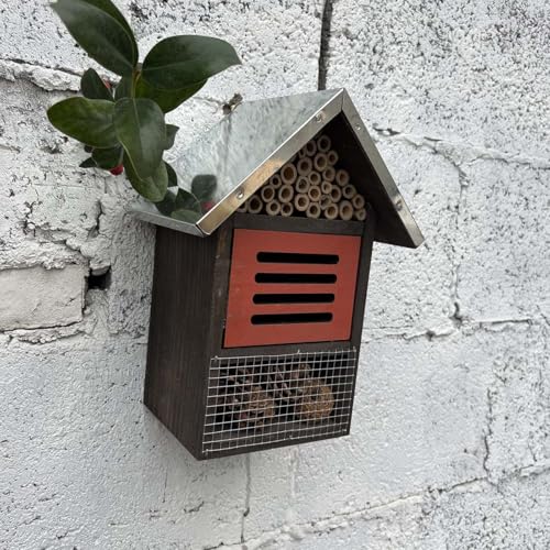 Maison dabeilles suspendue en bois - Hôtel à insectes pour a