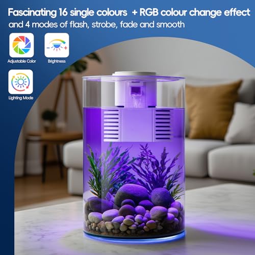 YISITONG Aquarium avec Filtre et éclairage LED, Multicolore,