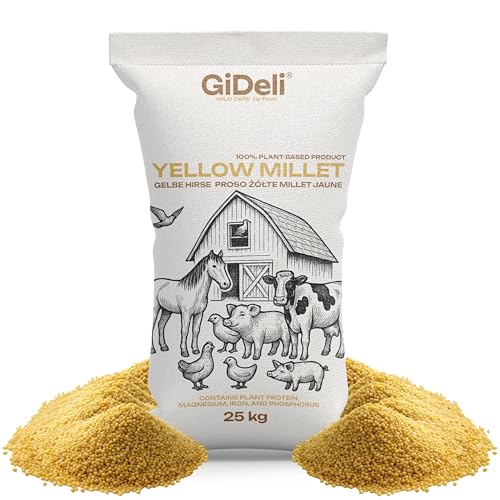 GiDeli Millet jaune 20 kg - Nourriture pour perruches, grain