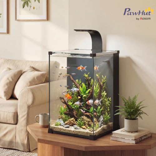 PawHut Aquarium en Verre Trempé 36L avec Filtre Intégré 30x3