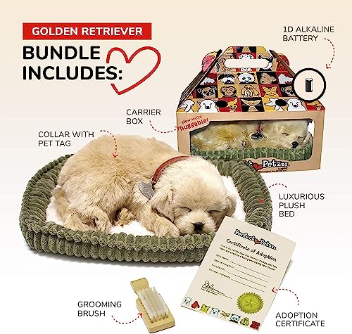 Perfect Petzzz Chien Golden Retriever Qui Respire The Breath
