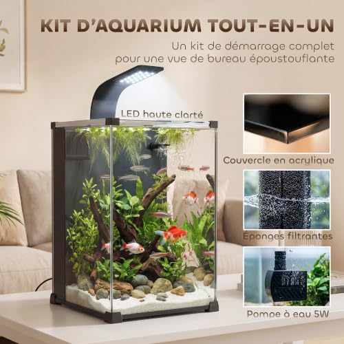 PawHut Aquarium en Verre Trempé 36L avec Filtre Intégré 30x3