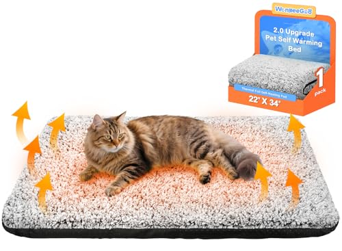 Lit autochauffant, tapis thermique 2.0 amélioré, chats d'int
