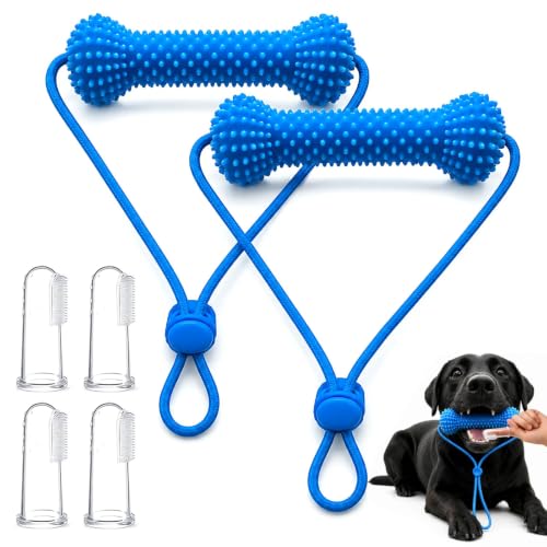 2 Pièces Jouets à Mâcher pour Chiens Avec 4 Brosses à Dents