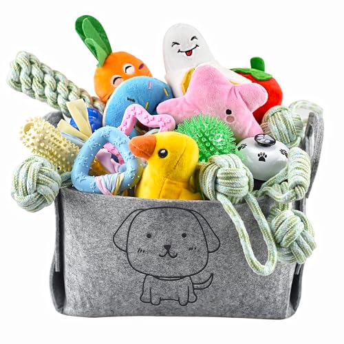 Ousiya Lot de 24 Jouets pour Chiots, Jouets de Dentition pou