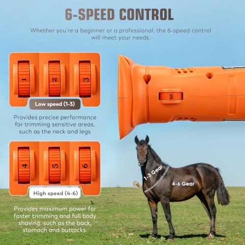 CGOLDENWALL Tondeuse pour Chevaux Sans Fil 690W 2800 tr/min 