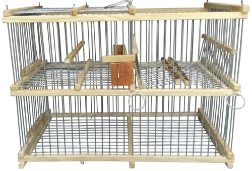 Cage Récupération Oiseaux en Bois, Mécanisme Répétitif Autom