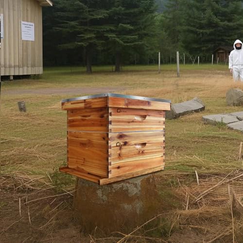 Garvee Kit Apiculture Complet pour Débutant - Ruche Langstro