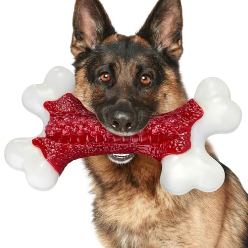 ChienBox Jouet Chien Indestructible: Jouet pour Chien Durabl