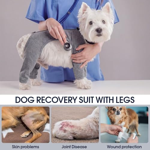 IECOii Combinaison de convalescence pour chien avec jambes, 