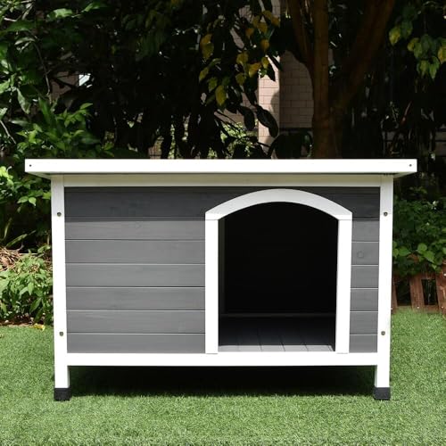 Boutique pour Chiens