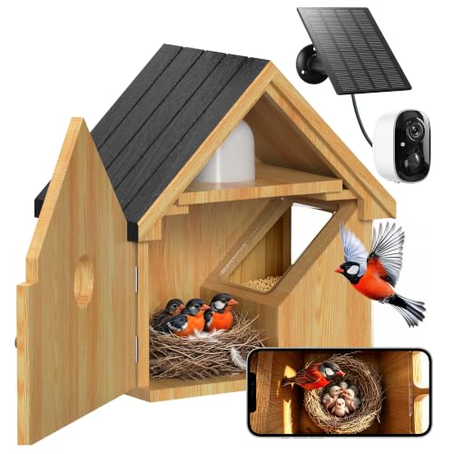 Nichoir Oiseaux Exterieur avec Caméra Solaire: 2K Intelligen