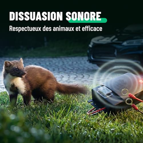 greate 4X Repulsif Rongeur pour Voiture avec Connexion Batte