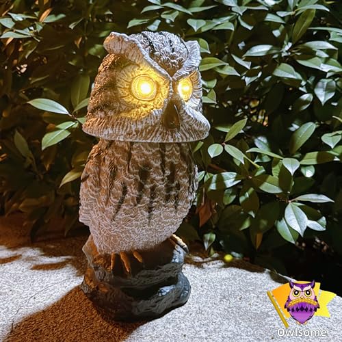 Owlsome Chouette solaire avec yeux clignotants, tête rotativ
