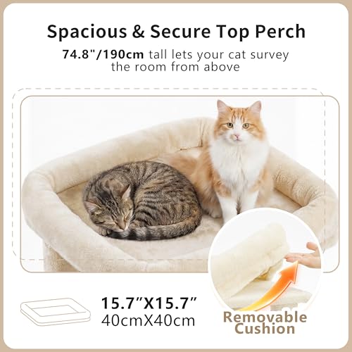 Heybly Arbre à Chat 190cm avec Base Élargie et Ultra-Stable,