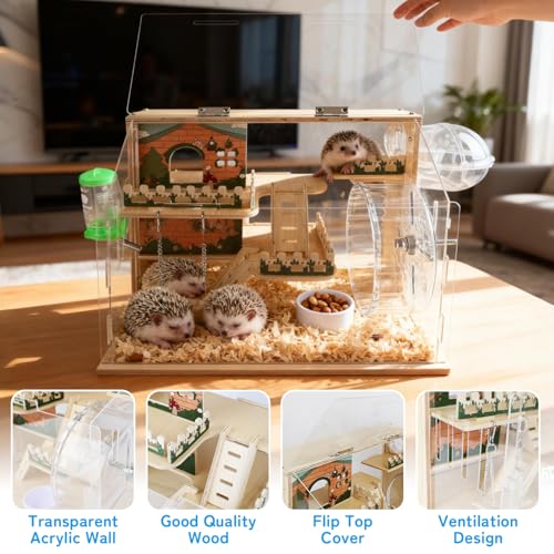 Cage en Bois pour Hamster, Habitat avec Vue à 270°