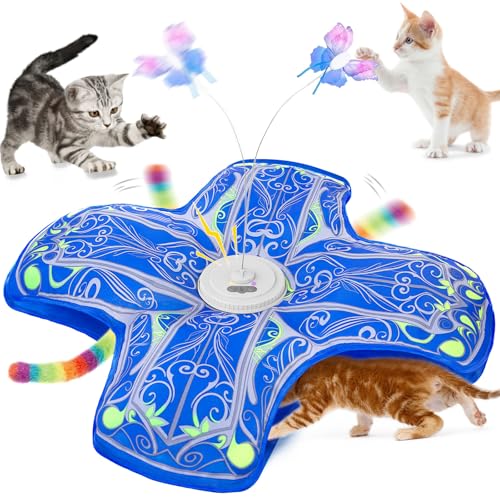 Qraxond Jouet Interactif pour Chats dIntérieur, [Nouvelle Ve
