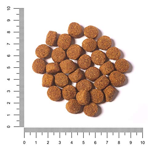 The Hunger of the Wolf Croquettes pour chiens adultes de tou