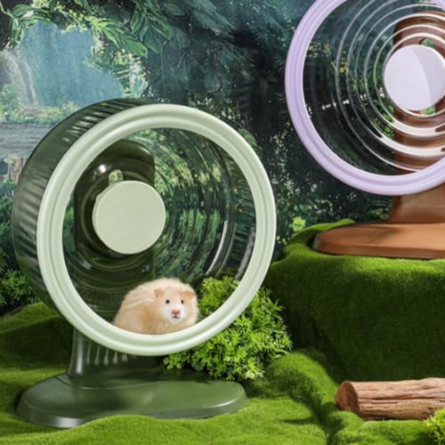 FytStycale Re dexercice en Plastique sur Pied à Re Hamster A
