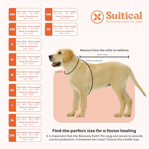 Suitical Recovery Suit Chien, XXL, Bleu Camouflage