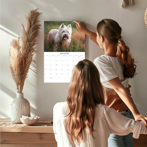 Calendrier mural mensuel 2024 2025 Cairn Terrier - 30,5 x 45