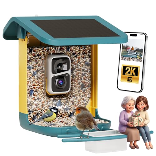 Mangeoire à Oiseaux avec Caméra 2K Solaire, Identification A