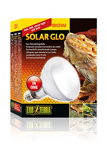 Exoterra Solar Glo Ampoule Simulant Lumière du Soleil pour R