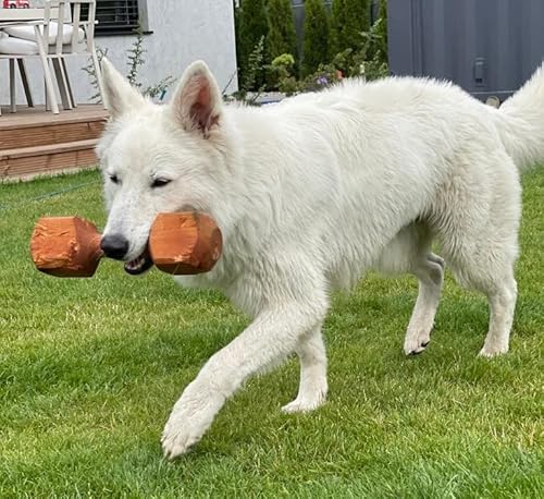 Dingo 17556 Apportier en bois daulne pour obéissance Jeu dOb