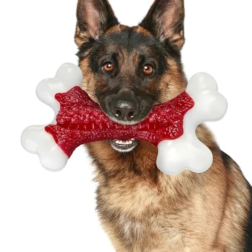 ChienBox Jouet Chien Indestructible: Jouet pour Chien Durabl