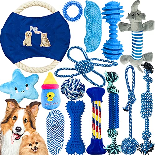 Boutique pour Chiens