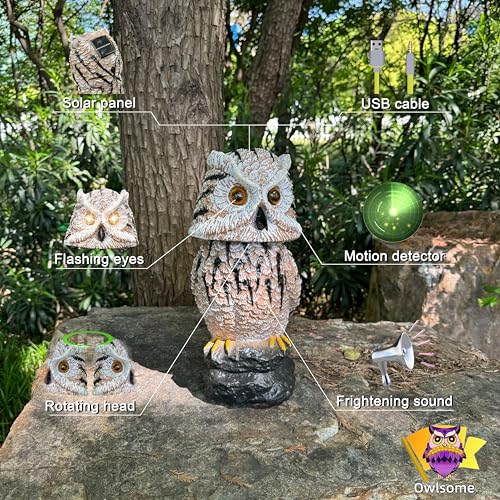 Owlsome Chouette solaire avec yeux clignotants, tête rotativ