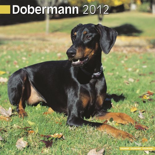 Calandrier 2012 - Dobermann (euro)